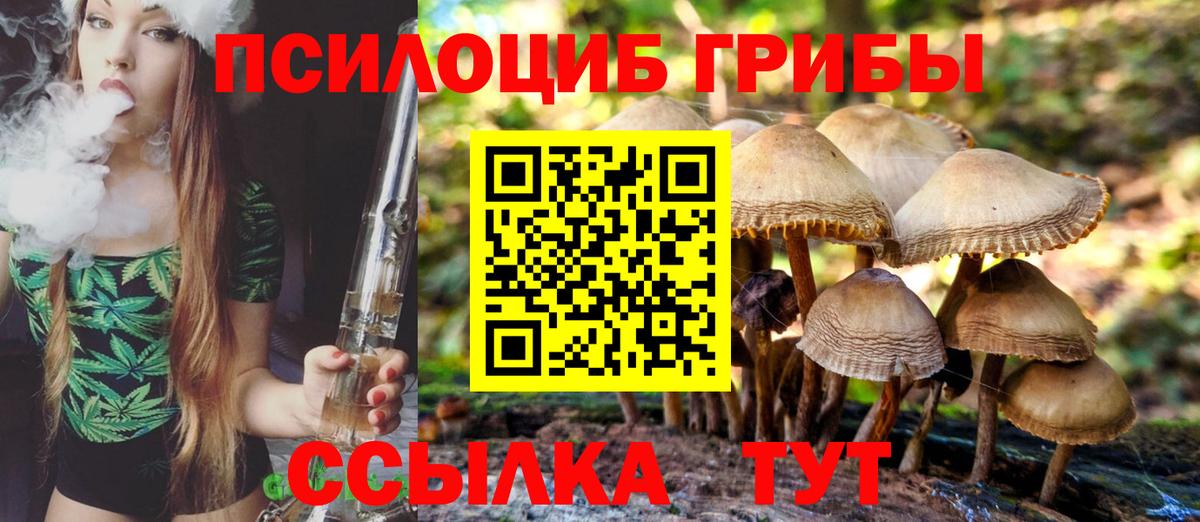 Псилоцибиновые грибы мухоморы Котлас